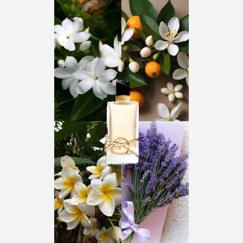 ادکلن زنانه لیبره ۱۰۰میل الحمبرا